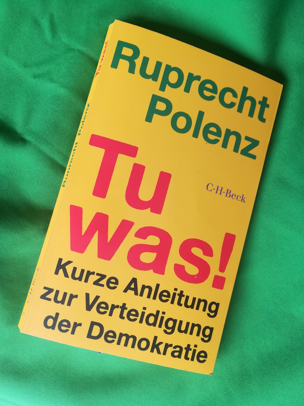 Titel des Buches Tu was! von Ruprecht Polenz